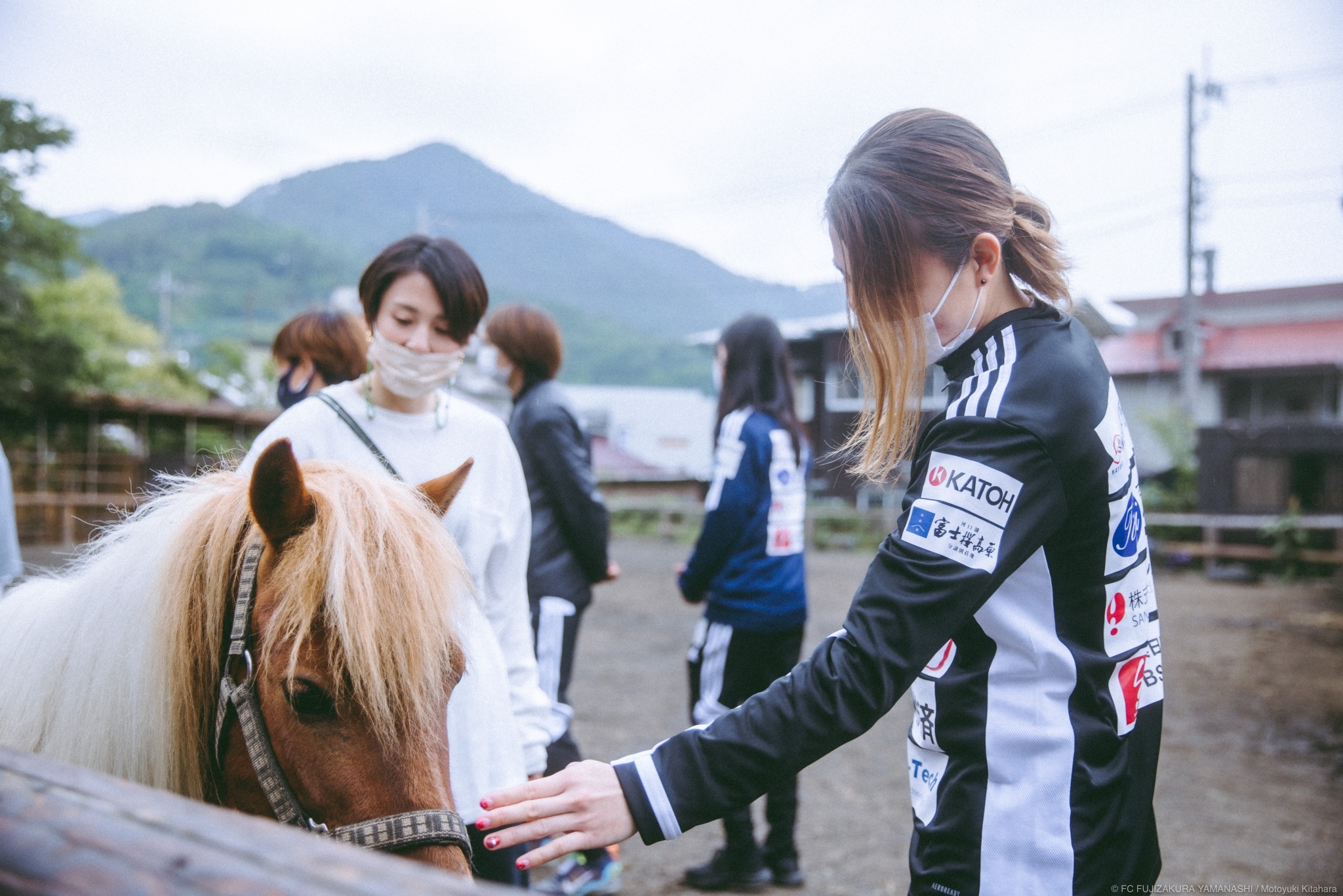 LINE_ALBUM_【馬力屋】0611馬と触れ合ったよ_220618_0