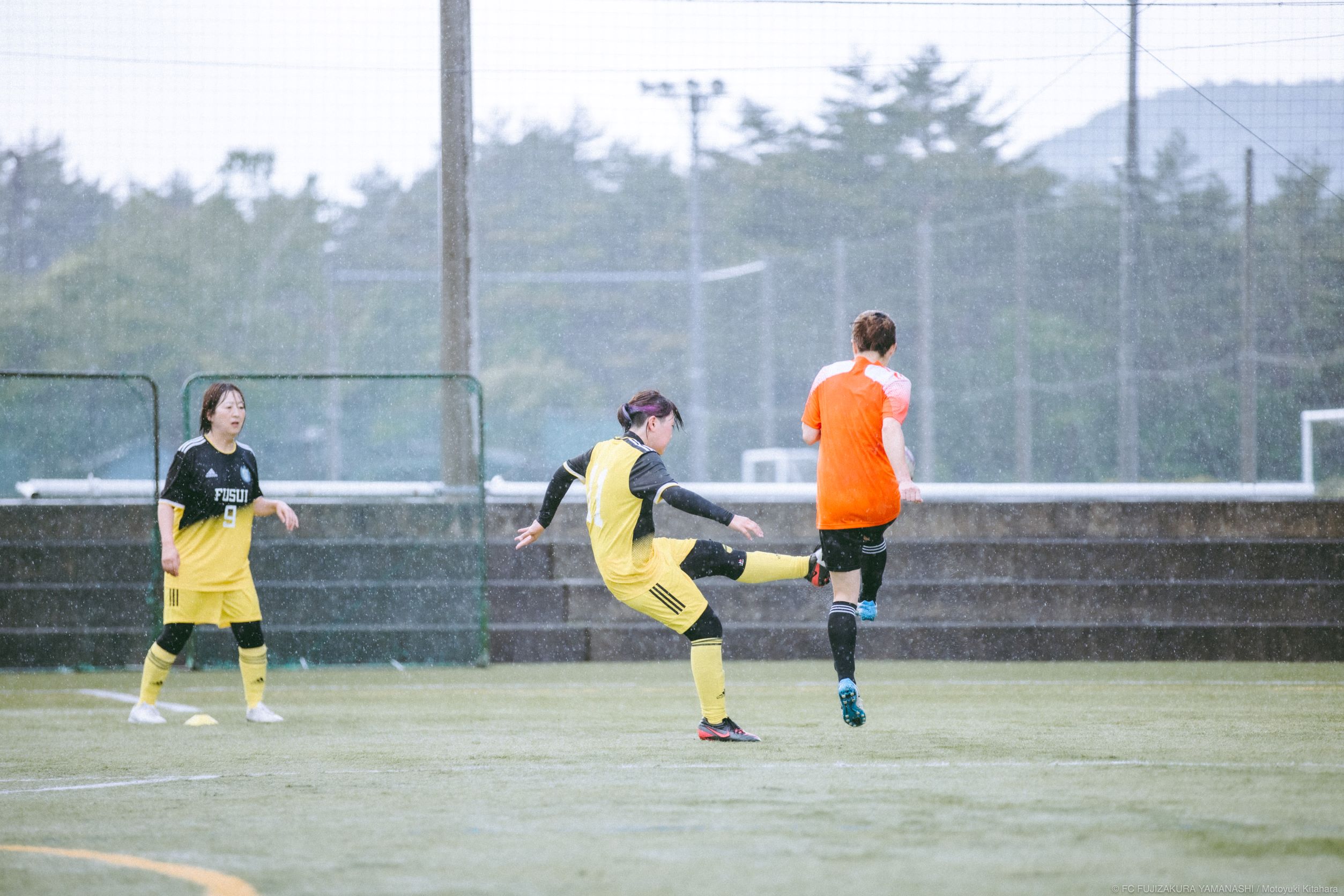 ふすいレディース