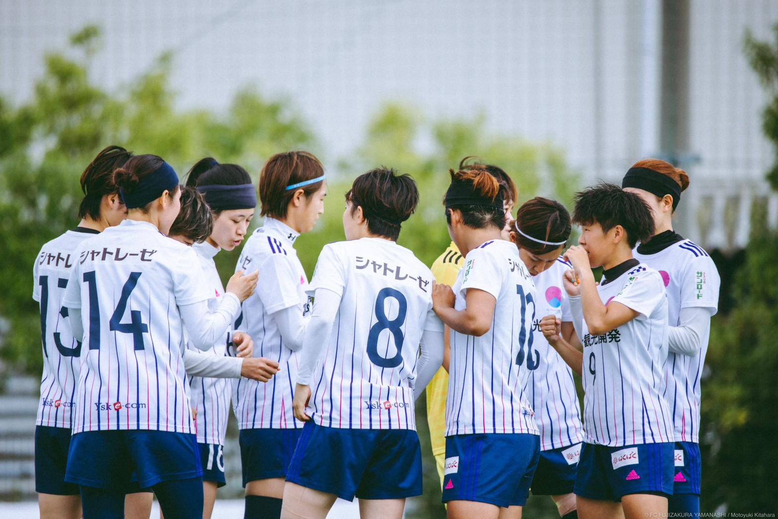 LINE_ALBUM_【TRM】ノジマステラ0806_220806_1