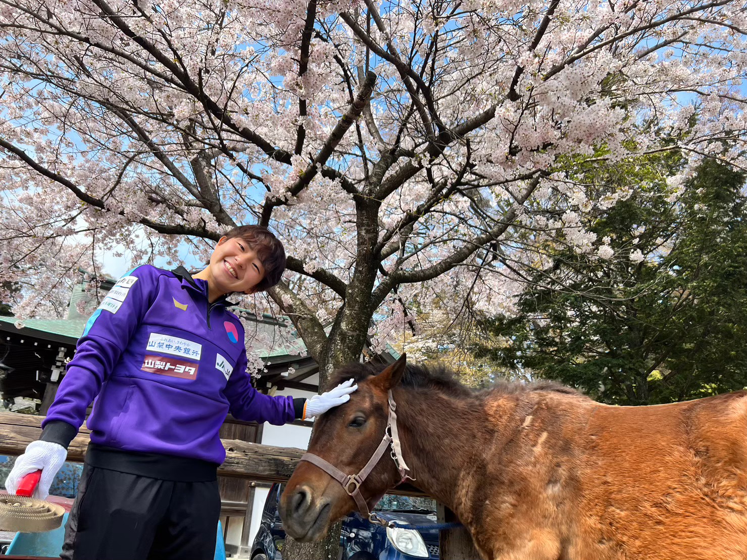 LINE_ALBUM_馬力屋さん🐴🌸_230518